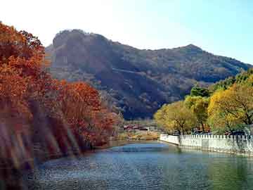 管家婆免费正版资起大全，富川瑶族自治seo培训